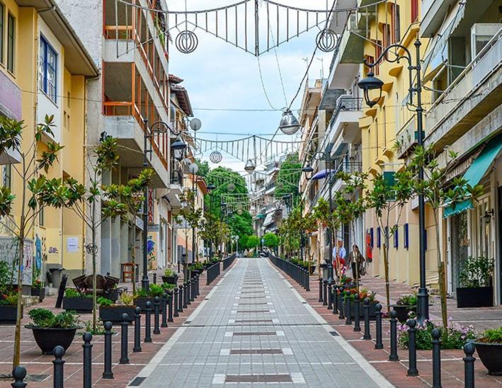 Nicki House Apartment Ioannina Ngoại thất bức ảnh
